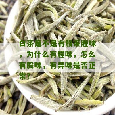 白茶是不是有股茶腥味，为什么有腥味，怎么有股味，有异味是否正常？