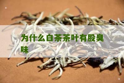 为什么白茶茶叶有股臭味