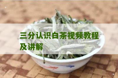 三分认识白茶视频教程及讲解