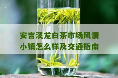 安吉溪龙白茶市场风情小镇怎么样及交通指南