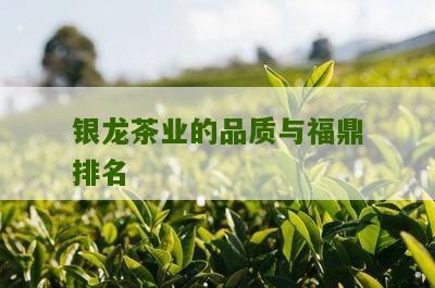 银龙茶业的品质与福鼎排名