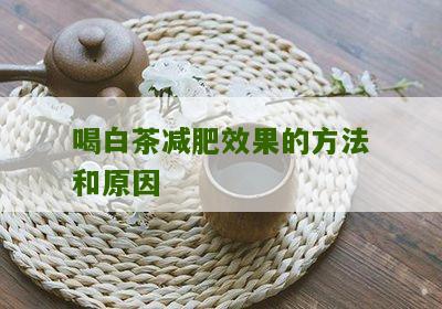 喝白茶减肥效果的方法和原因