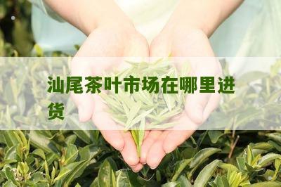 汕尾茶叶市场在哪里进货