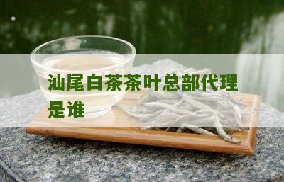 汕尾白茶茶叶总部代理是谁