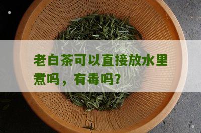 老白茶可以直接放水里煮吗，有毒吗？