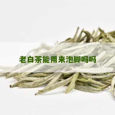 老白茶能用来泡脚吗吗