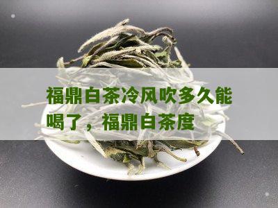 福鼎白茶冷风吹多久能喝了，福鼎白茶度