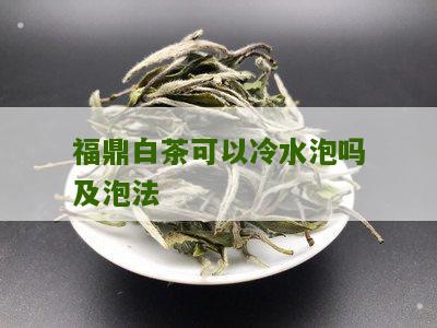 福鼎白茶可以冷水泡吗及泡法