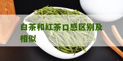 白茶和红茶口感区别及相似