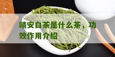 靖安白茶是什么茶，功效作用介绍