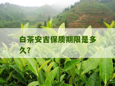 白茶安吉保质期限是多久？