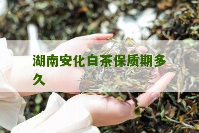 湖南安化白茶保质期多久