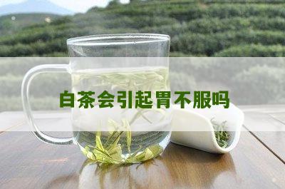 白茶会引起胃不服吗