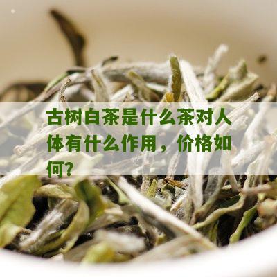 古树白茶是什么茶对人体有什么作用，价格如何？