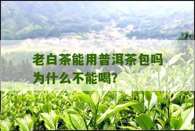 老白茶能用普洱茶包吗为什么不能喝？