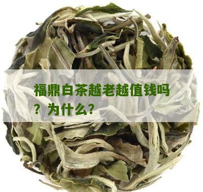 福鼎白茶越老越值钱吗？为什么？