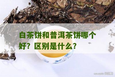 白茶饼和普洱茶饼哪个好？区别是什么？