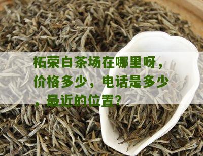 柘荣白茶场在哪里呀，价格多少，电话是多少，最近的位置？