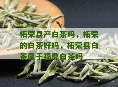 柘荣县产白茶吗，柘荣的白茶好吗，柘荣县白茶属于福鼎白茶吗