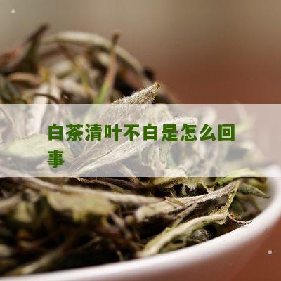 白茶清叶不白是怎么回事