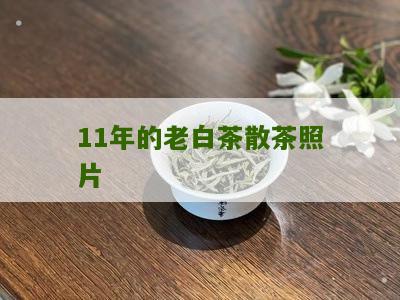 11年的老白茶散茶照片