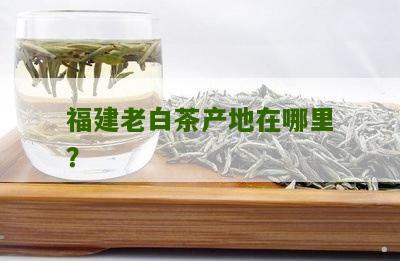 福建老白茶产地在哪里？